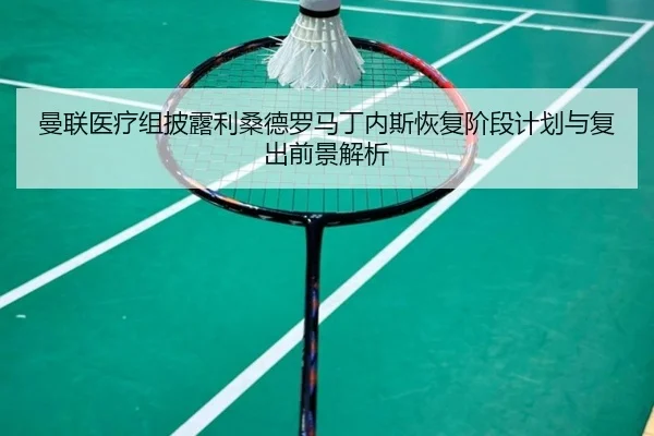 曼联医疗组披露利桑德罗马丁内斯恢复阶段计划与复出前景解析 | kaiyun